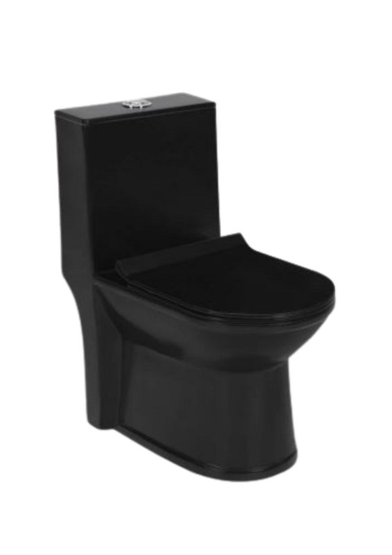 RS 2PC TOILET SET MATT BLACK - LUXUS - C 2250