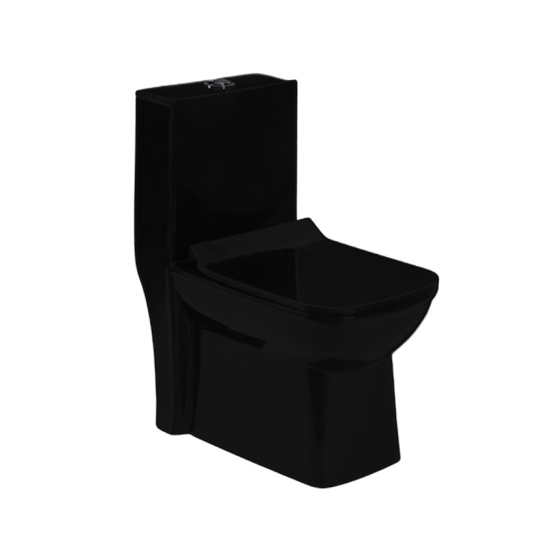 RS 2PC TOILET SET MATT BLACK - LUXUS SQR - C 2571